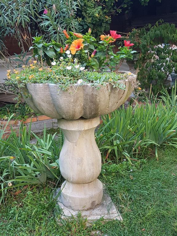 Appartamento Garden Ca' Rezzonico Venezia Esterno foto