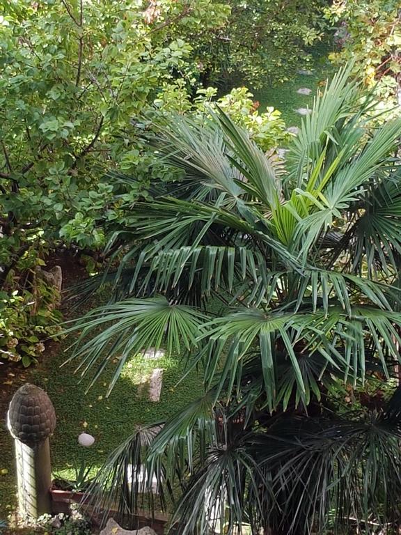 Appartamento Garden Ca' Rezzonico Venezia Esterno foto