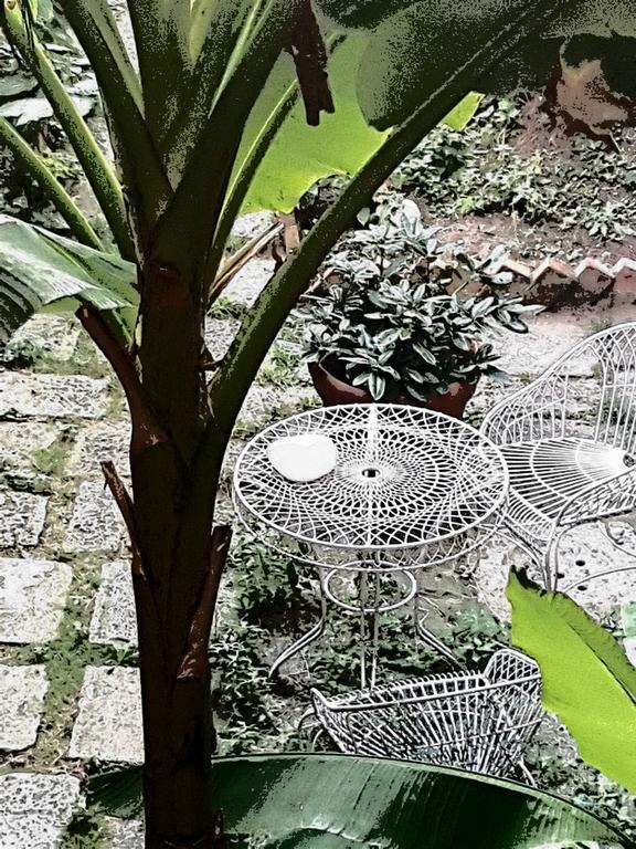 Appartamento Garden Ca' Rezzonico Venezia Esterno foto