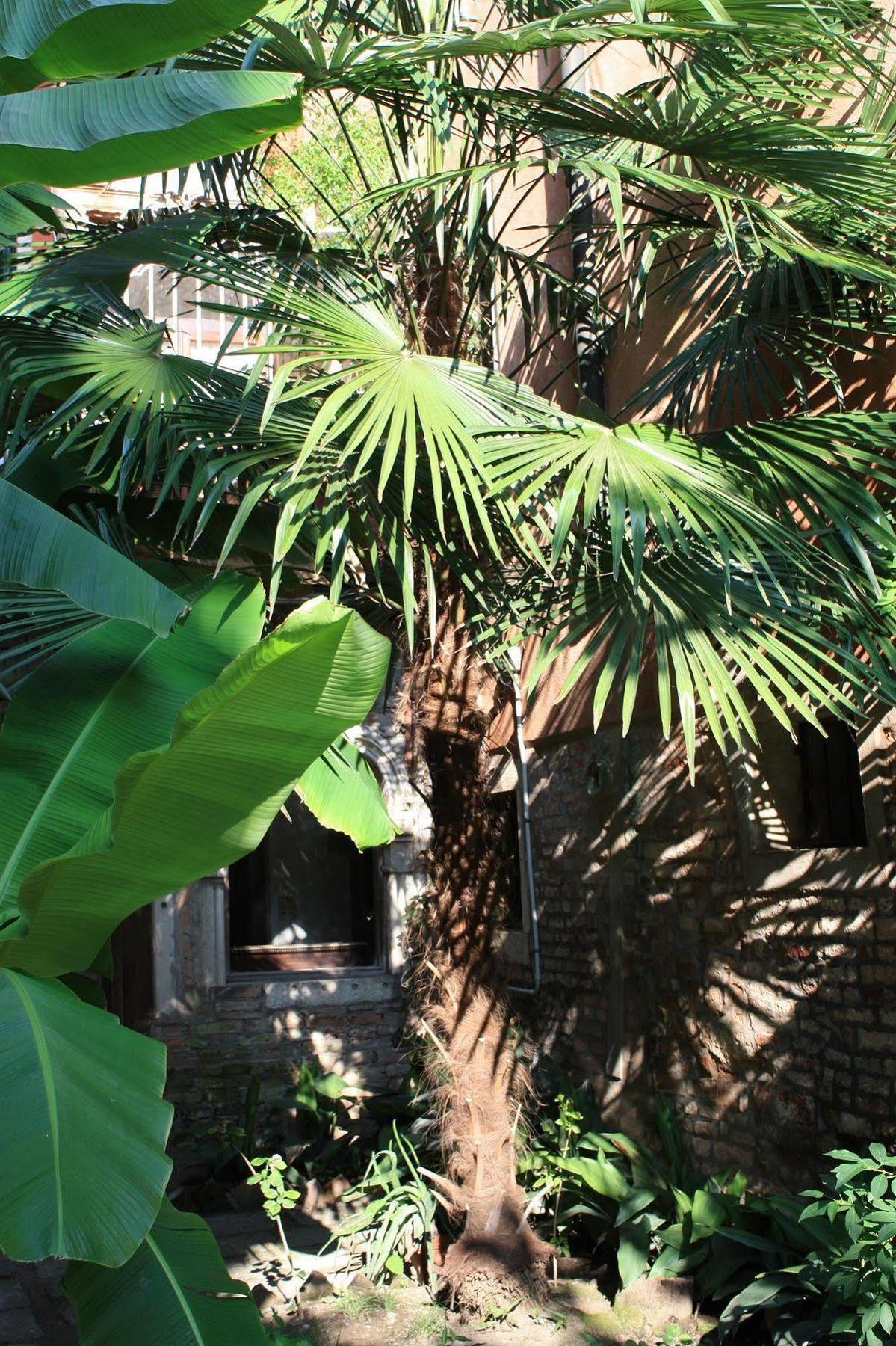 Appartamento Garden Ca' Rezzonico Venezia Esterno foto